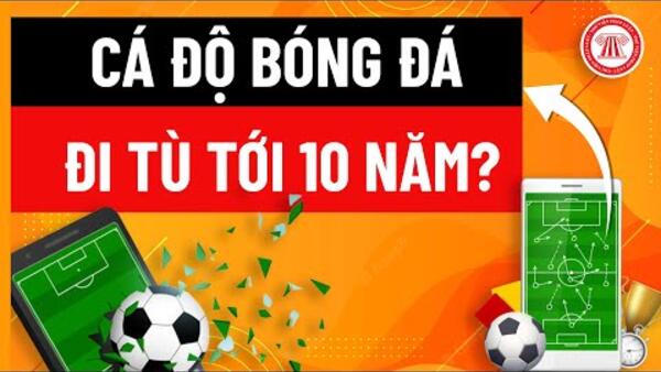 Cá Độ Bóng Đá Có Thể Đi Tù Tới 10 Năm | THƯ VIỆN PHÁP LUẬT
